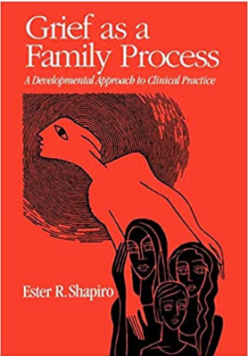 cover of Grief as a Family Process