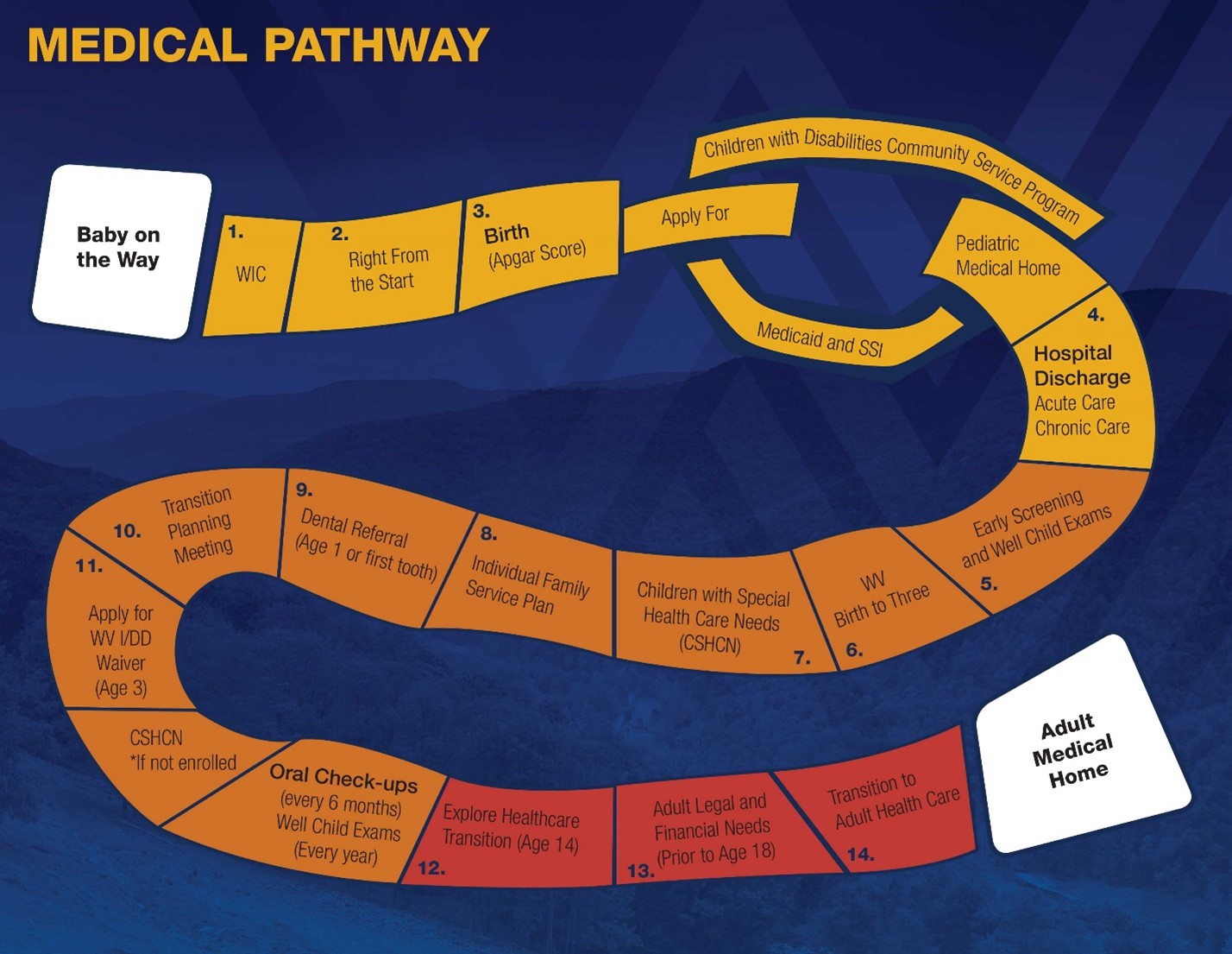 Medical pathway click to enlarge; See PDF for text content
